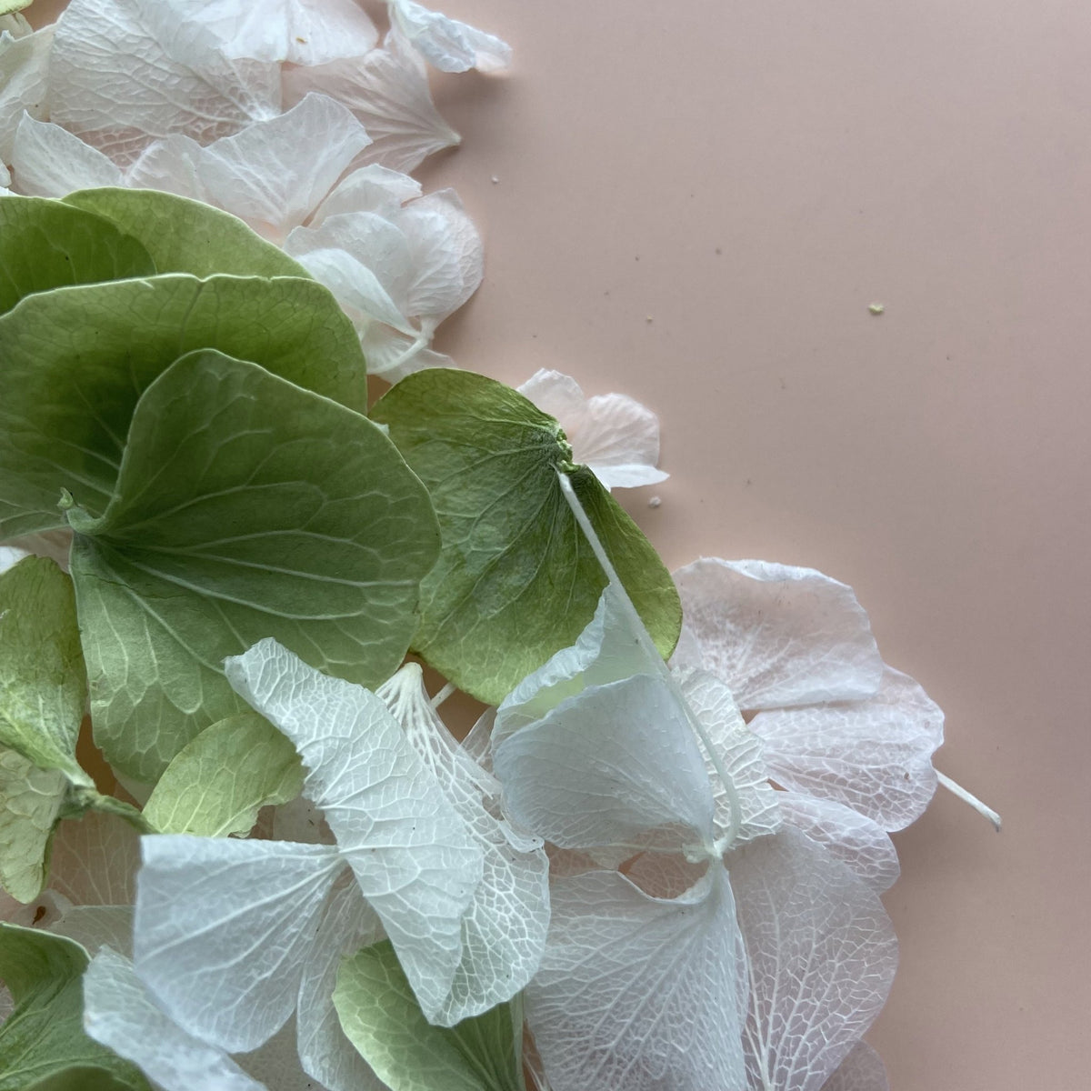 How much confetti do I need for my wedding? Biodegradable Wedding Confetti, Eco-friendly Flower Petal Confetti