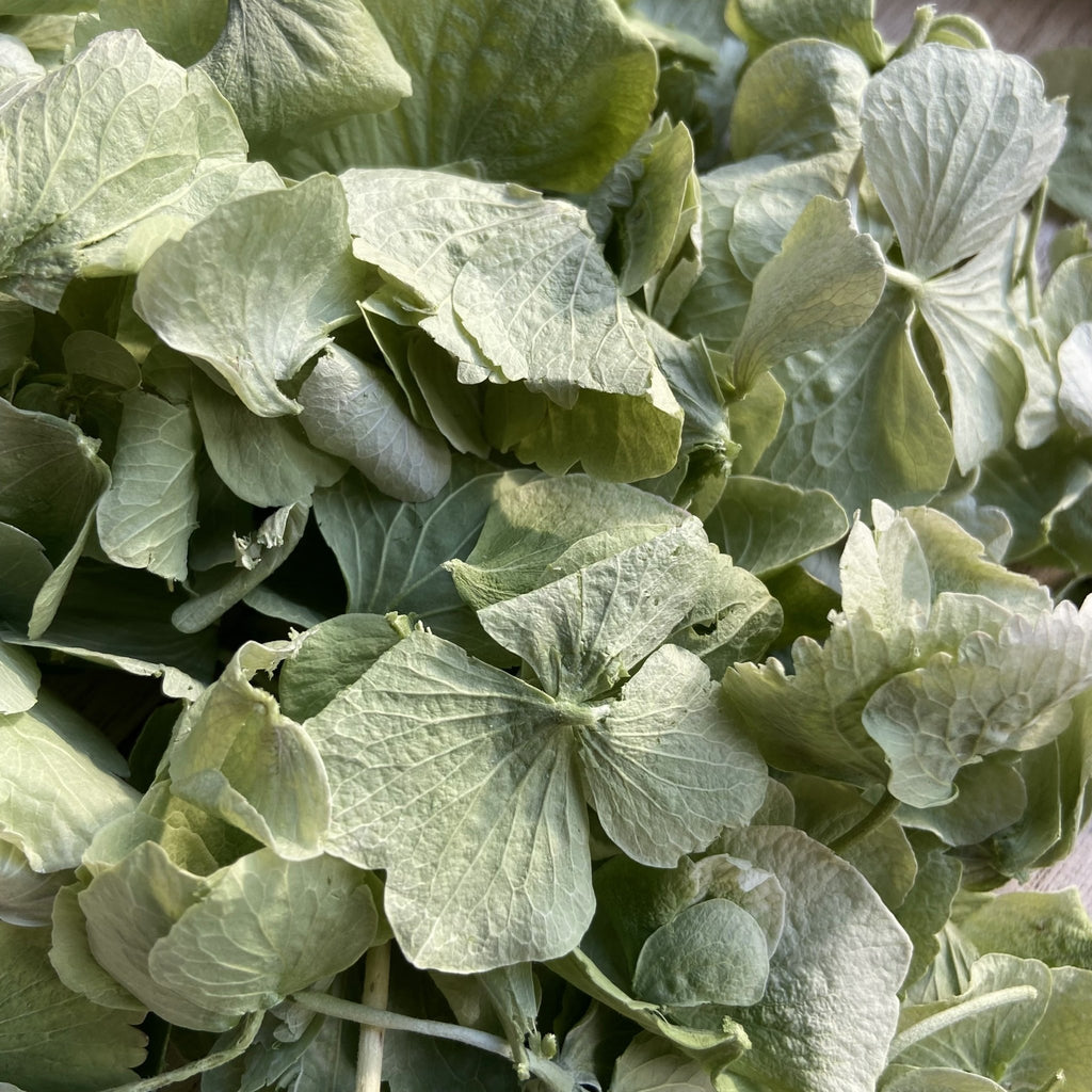 Why are hydrangea petals so popular for wedding confetti? - Confetti Bee