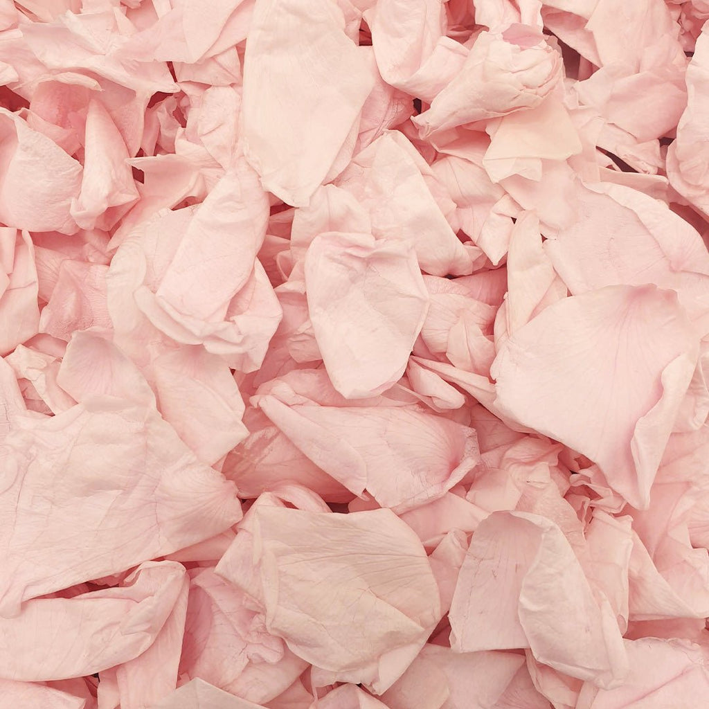 Blossom Pink Rose Petals - Confetti Bee