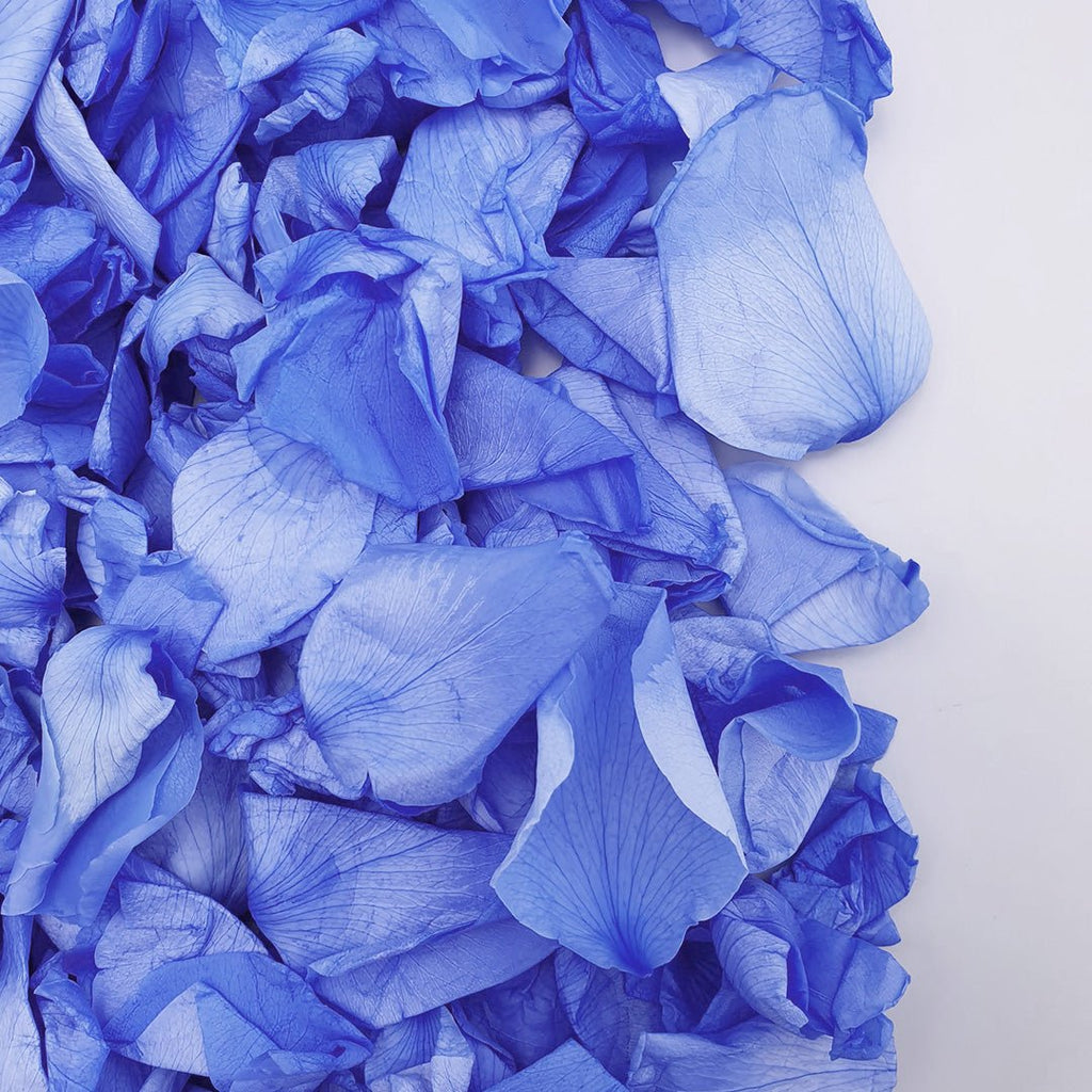 Blue Rose Petals - Confetti Bee