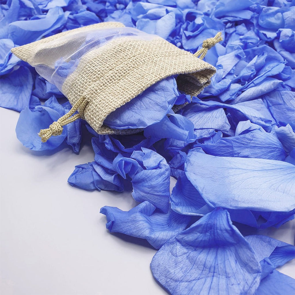 Blue Rose Petals - Confetti Bee