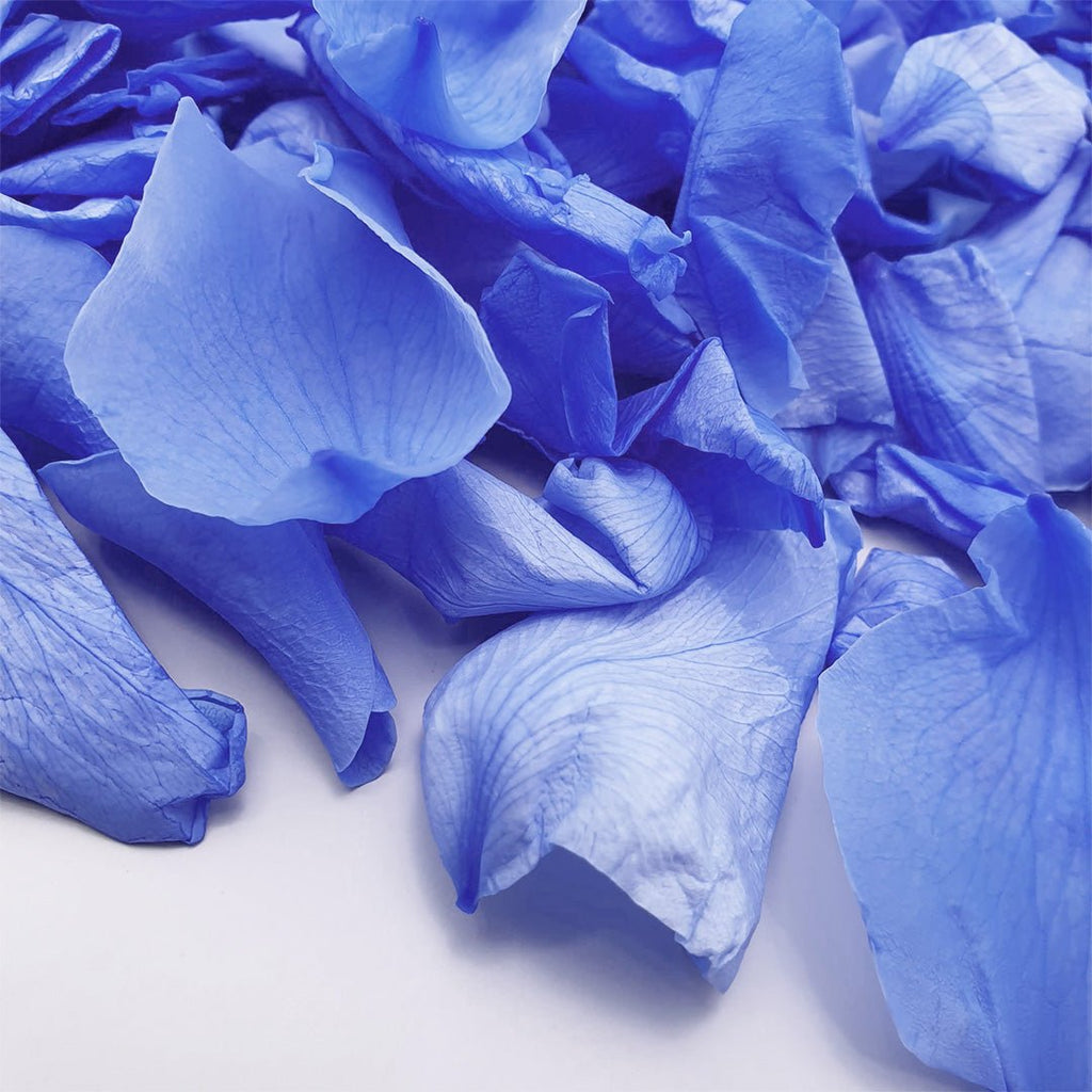 Blue Rose Petals - Confetti Bee