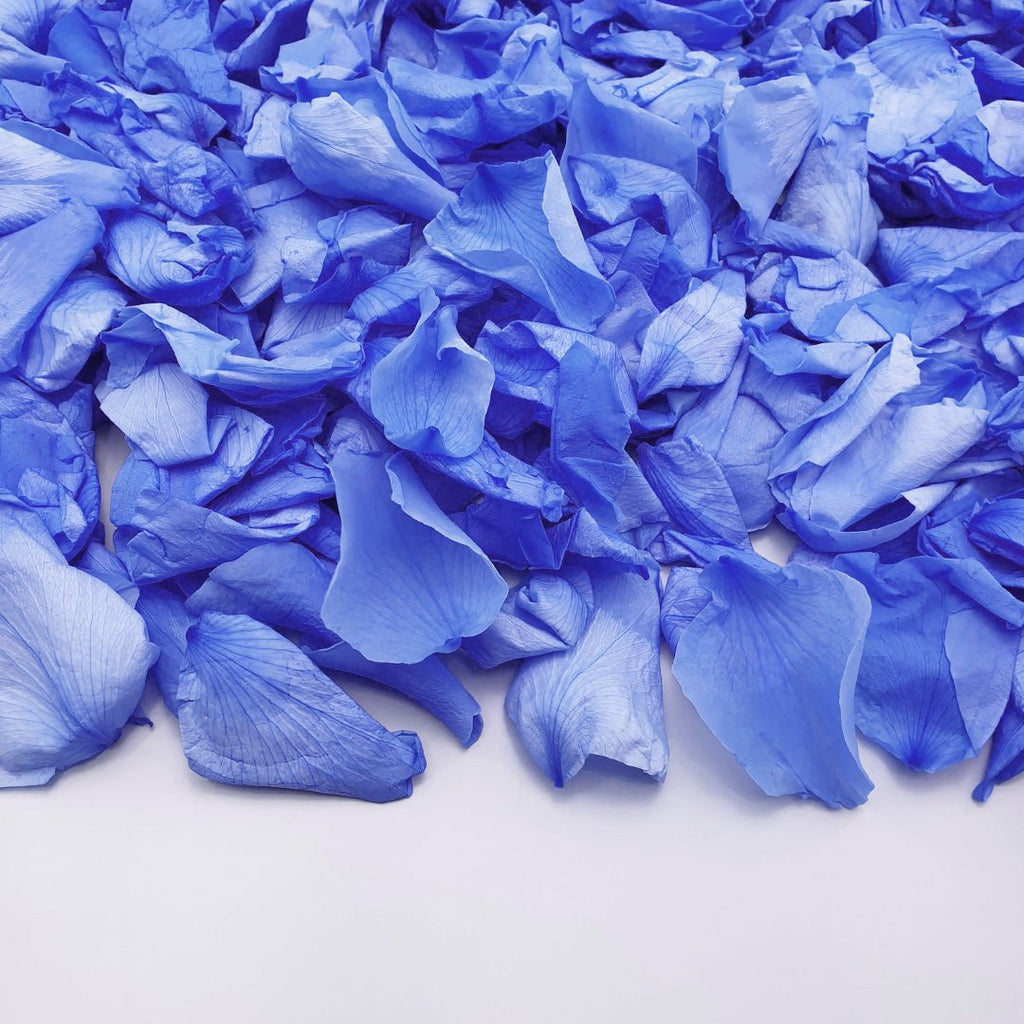 Blue Rose Petals - Confetti Bee