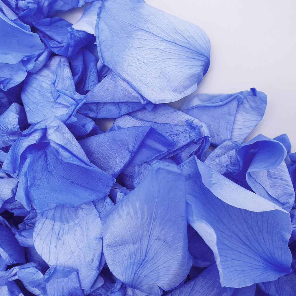 Blue Rose Petals - Confetti Bee