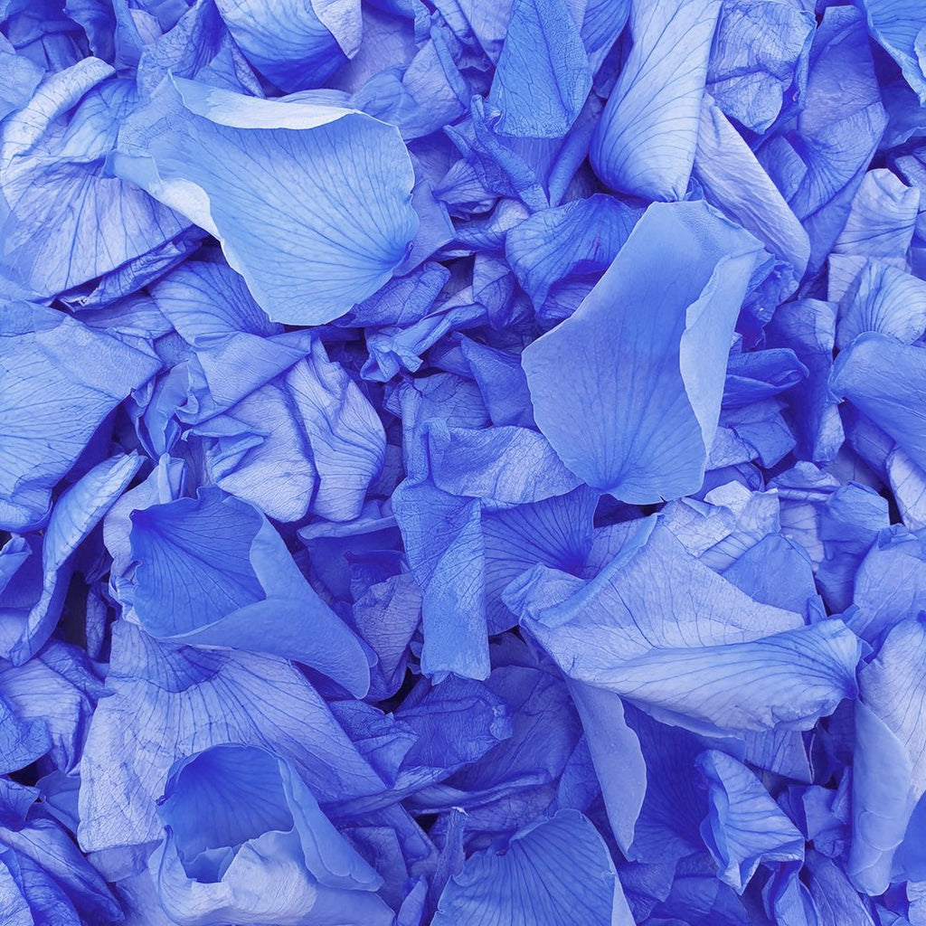 Blue Rose Petals - Confetti Bee