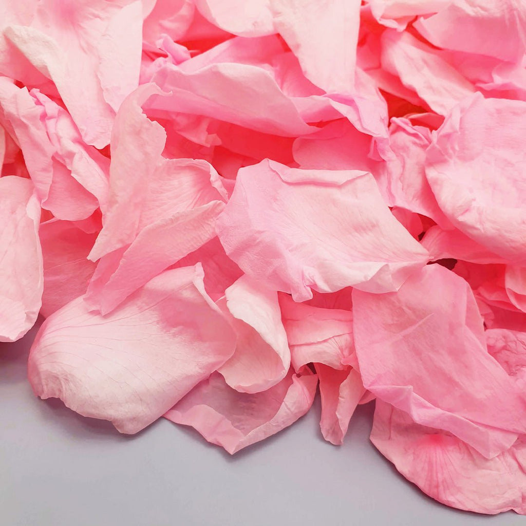 Bubblegum Pink Rose Petals - Confetti Bee