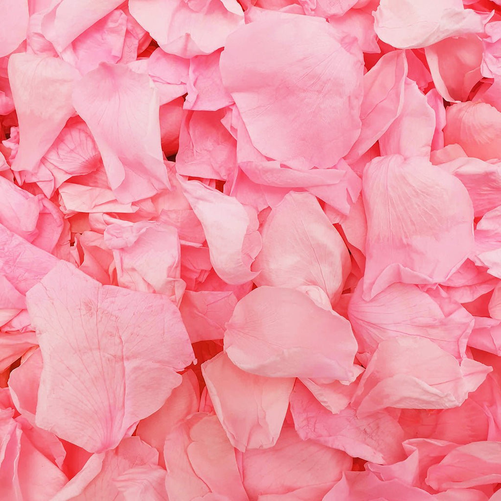 Bubblegum Pink Rose Petals - Confetti Bee