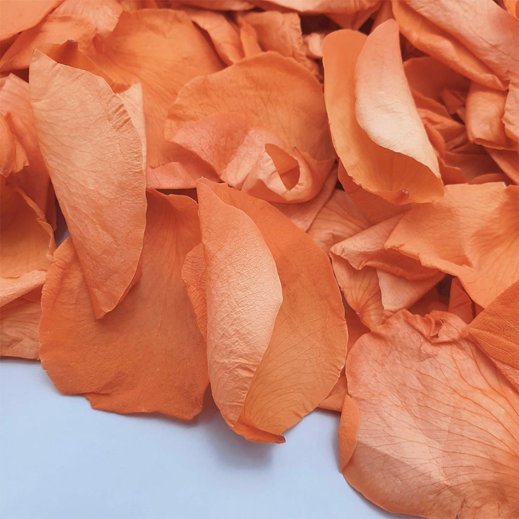 Burnt Orange Rose Petals - Confetti Bee