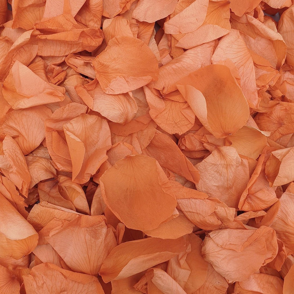 Burnt Orange Rose Petals - Confetti Bee