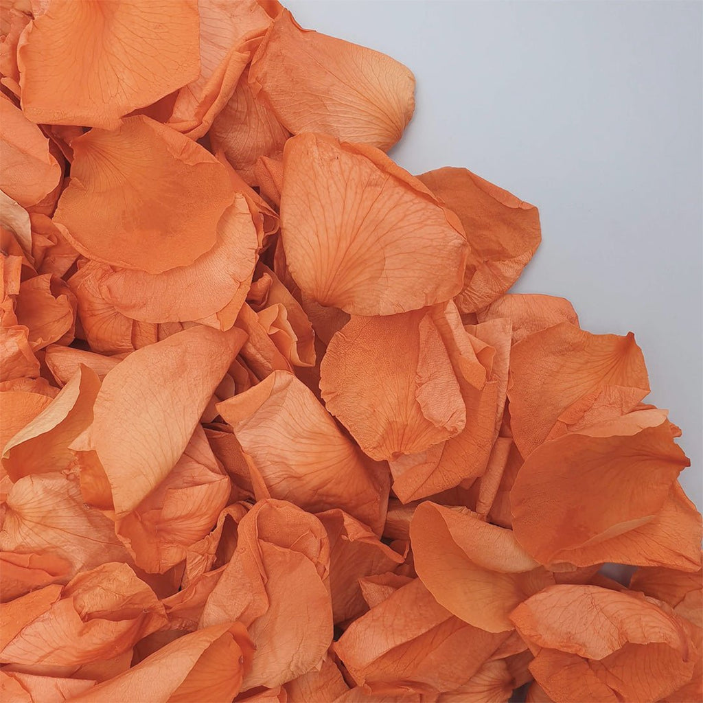 Burnt Orange Rose Petals - Confetti Bee