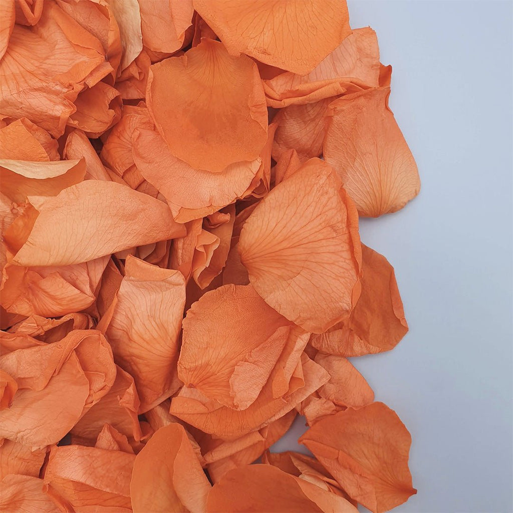 Burnt Orange Rose Petals - Confetti Bee