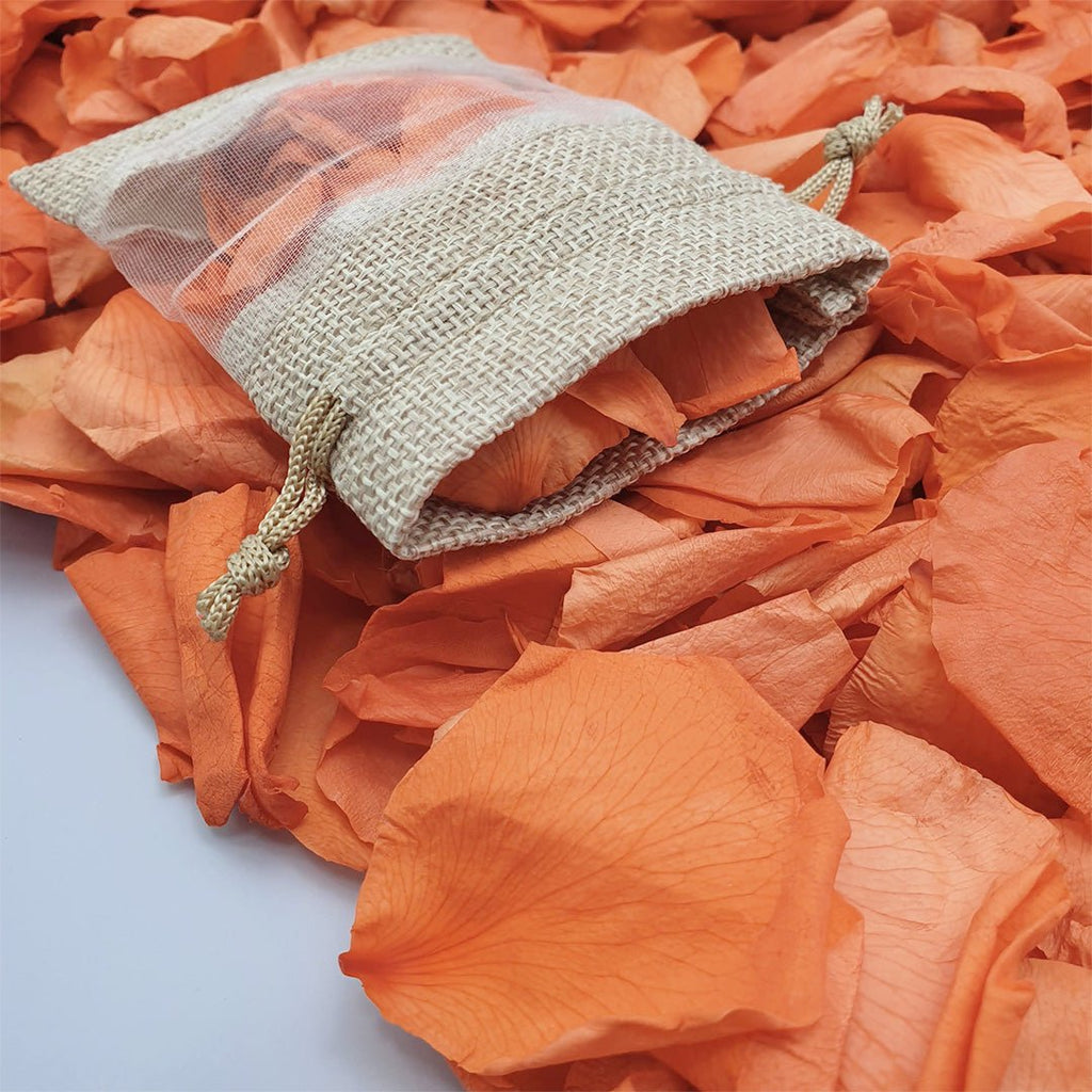 Burnt Orange Rose Petals - Confetti Bee