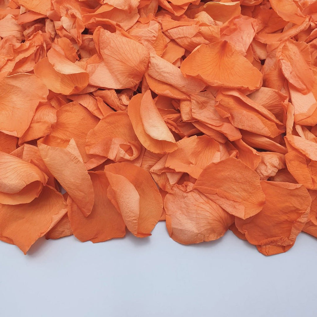 Burnt Orange Rose Petals - Confetti Bee