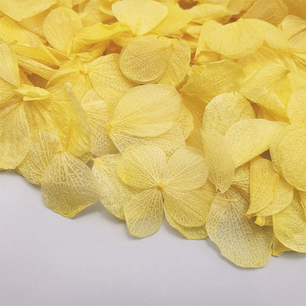 Golden Hydrangea Petals - Confetti Bee