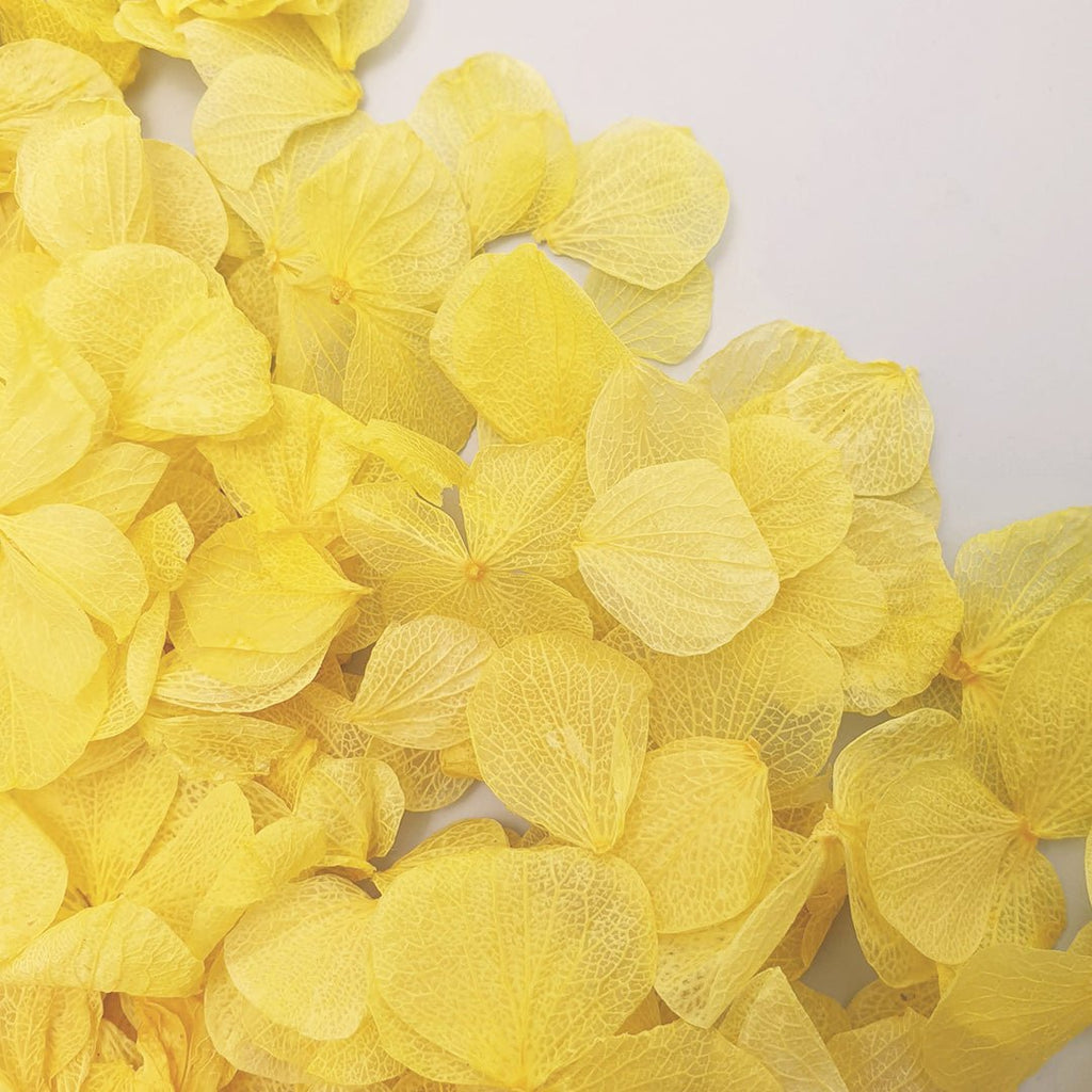 Golden Hydrangea Petals - Confetti Bee