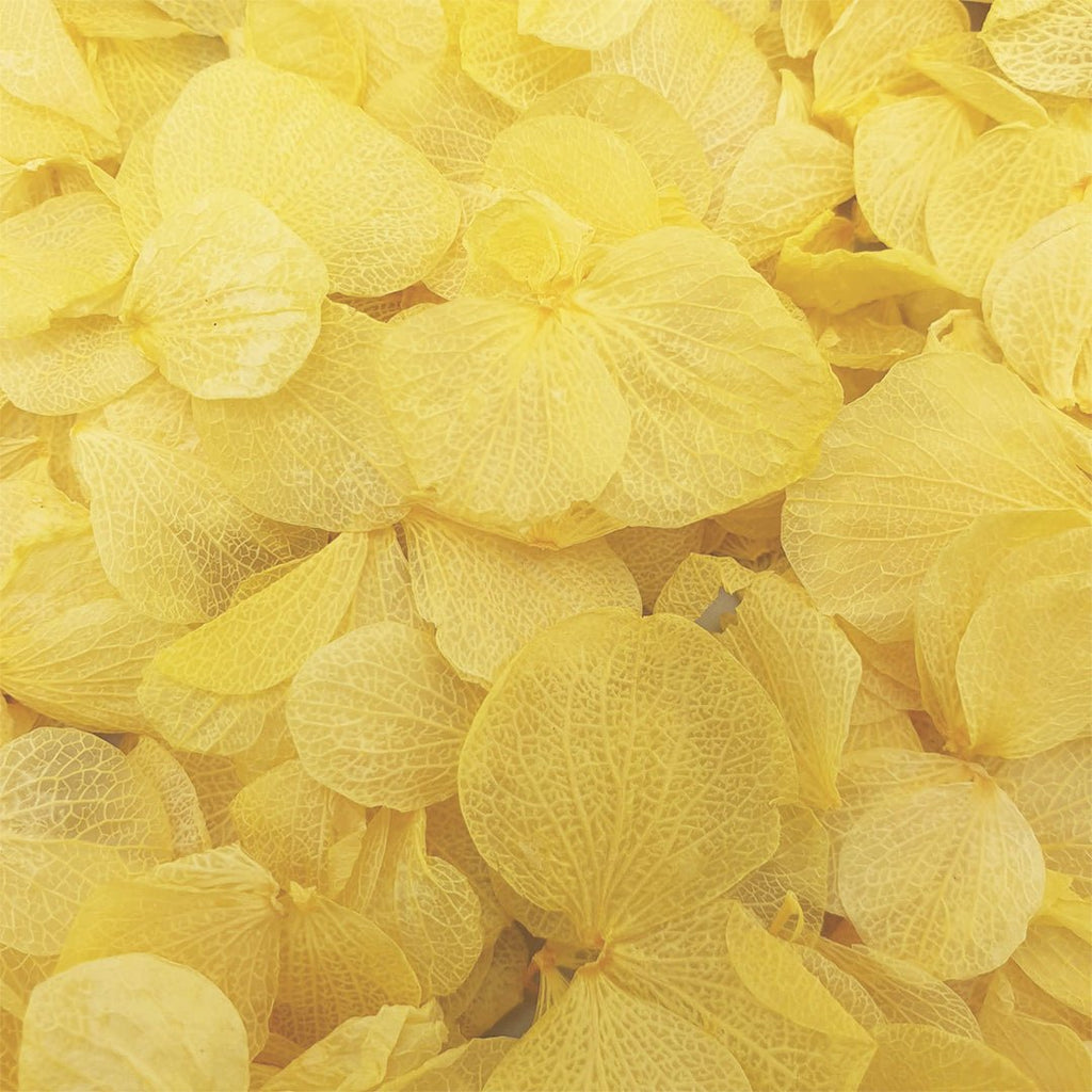 Golden Hydrangea Petals - Confetti Bee