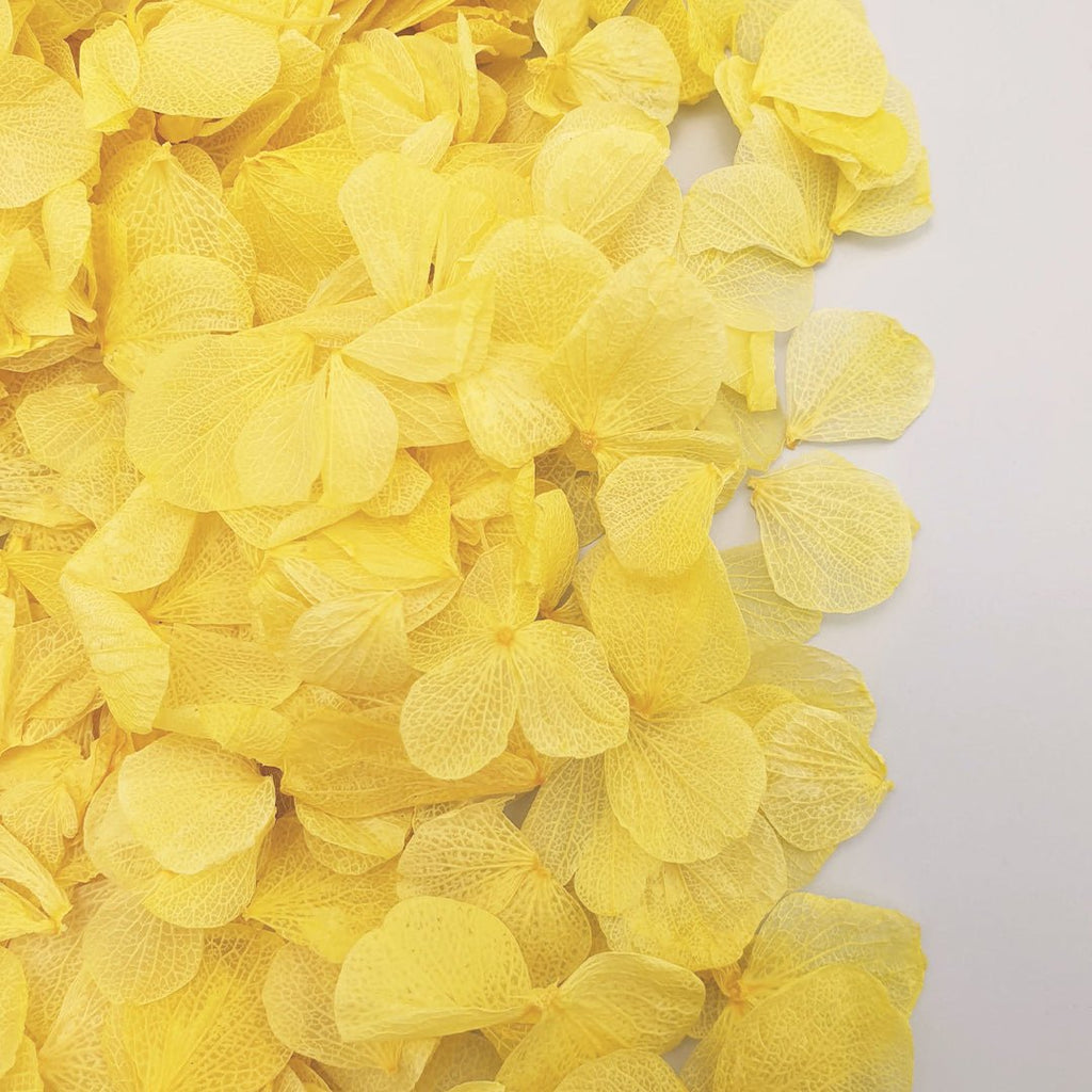 Golden Hydrangea Petals - Confetti Bee