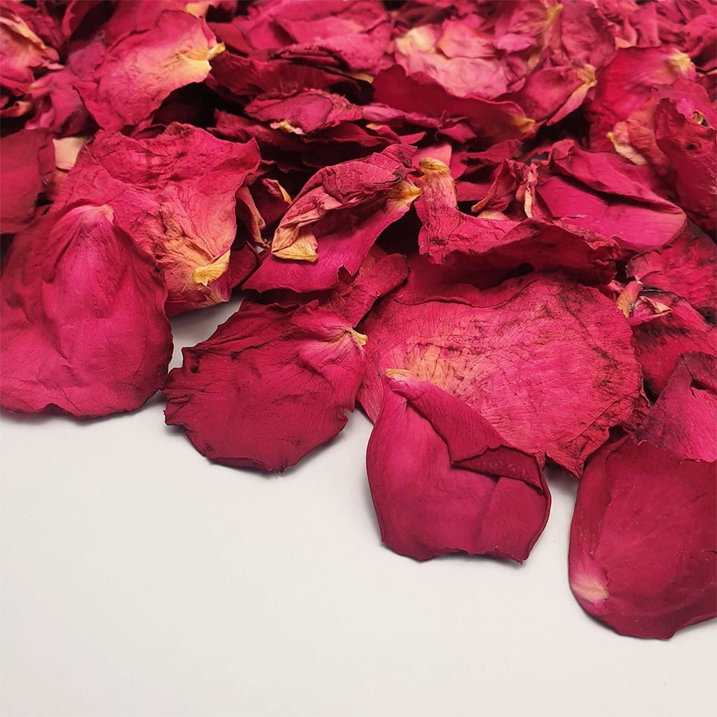 Large Rose Petals + Clear Packet Bundle - Confetti Bee