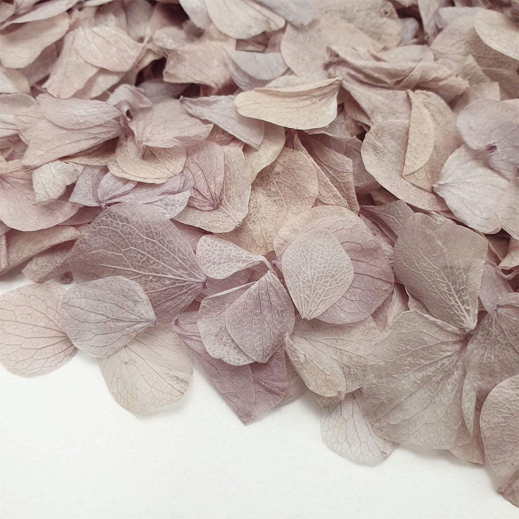 Lavender Grey Hydrangea Petals - Limited Edition - Confetti Bee