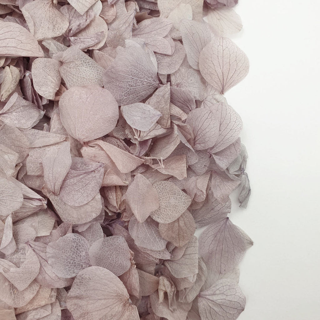 Lavender Grey Hydrangea Petals - Limited Edition - Confetti Bee