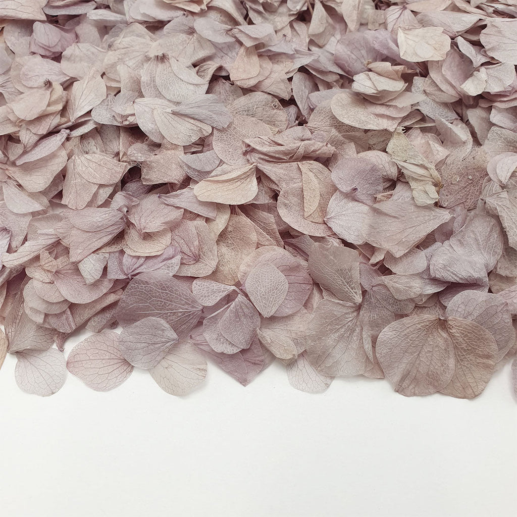 Lavender Grey Hydrangea Petals - Limited Edition - Confetti Bee