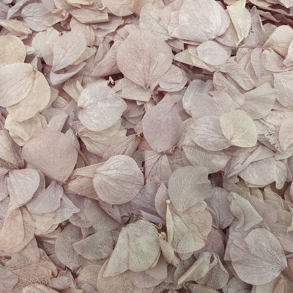 Lavender Grey Hydrangea Petals - Limited Edition - Confetti Bee