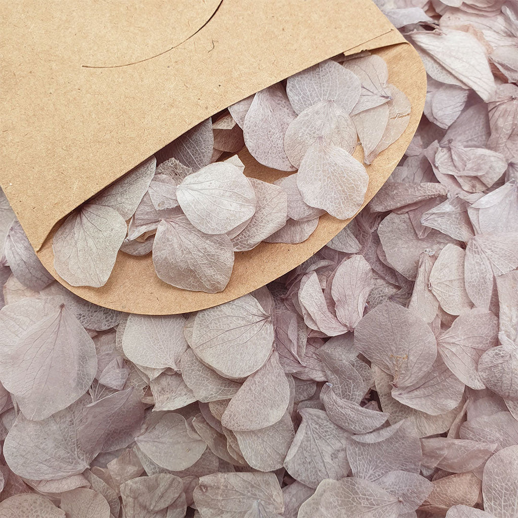 Lavender Grey Hydrangea Petals - Limited Edition - Confetti Bee