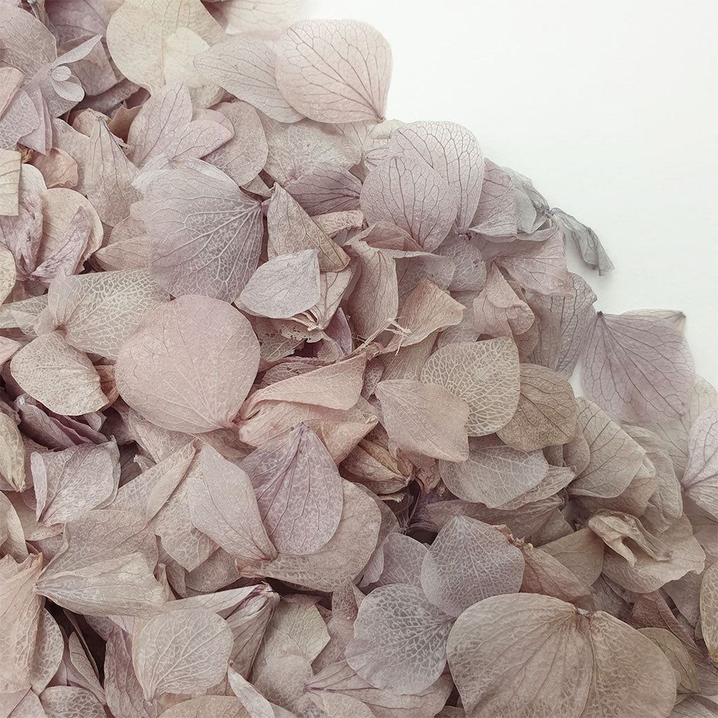 Lavender Grey Hydrangea Petals - Limited Edition - Confetti Bee