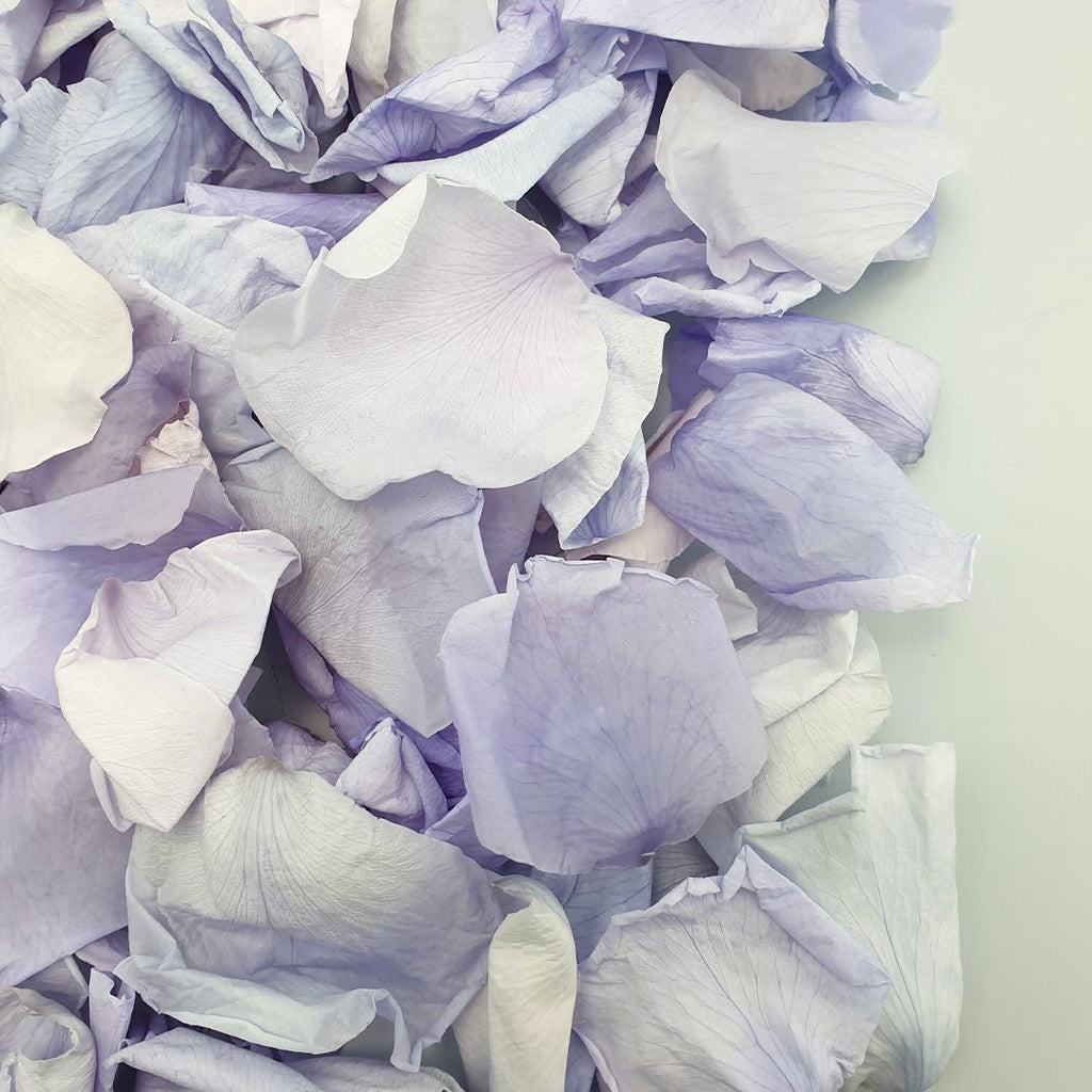 Lilac Rose Petals - Confetti Bee