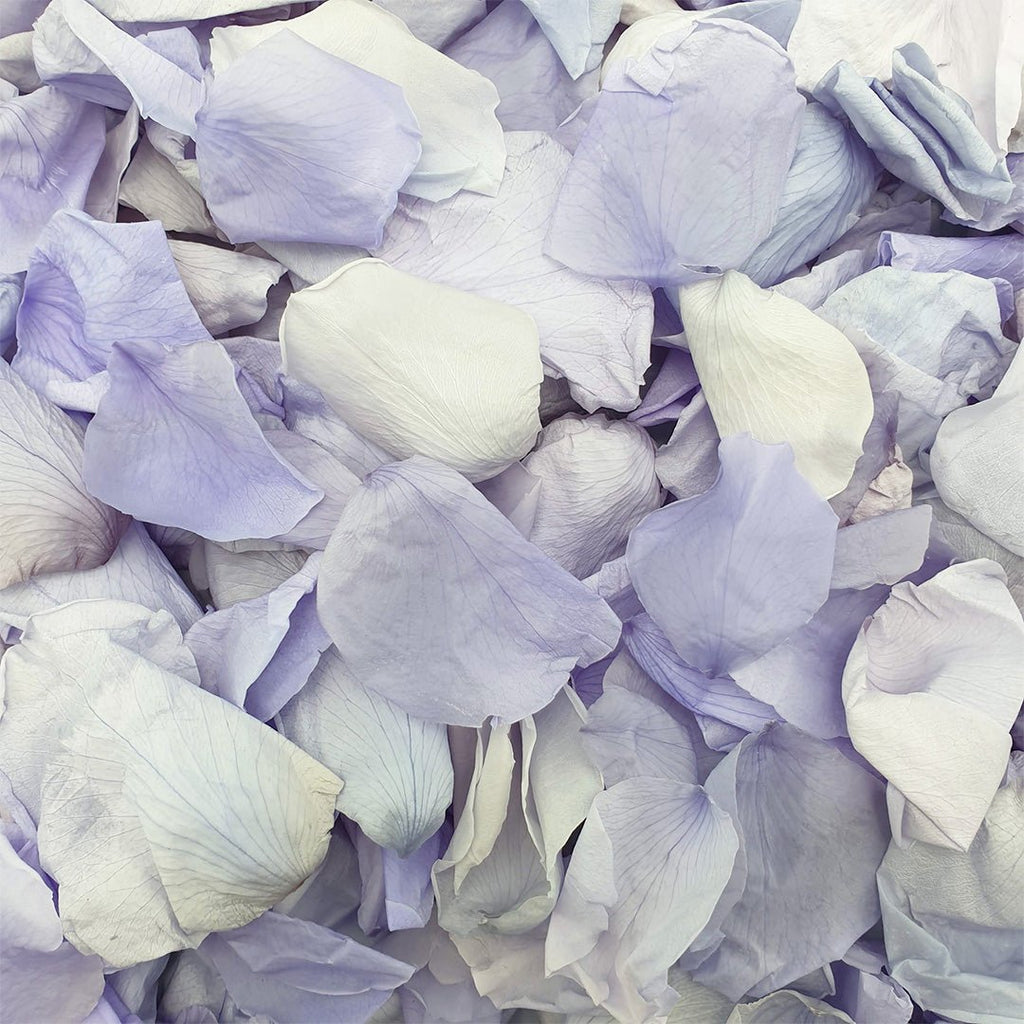 Lilac Rose Petals - Confetti Bee