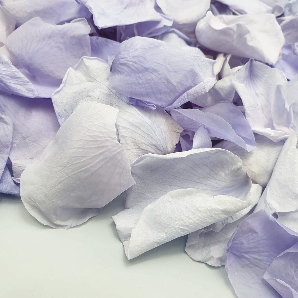 Lilac Rose Petals - Confetti Bee