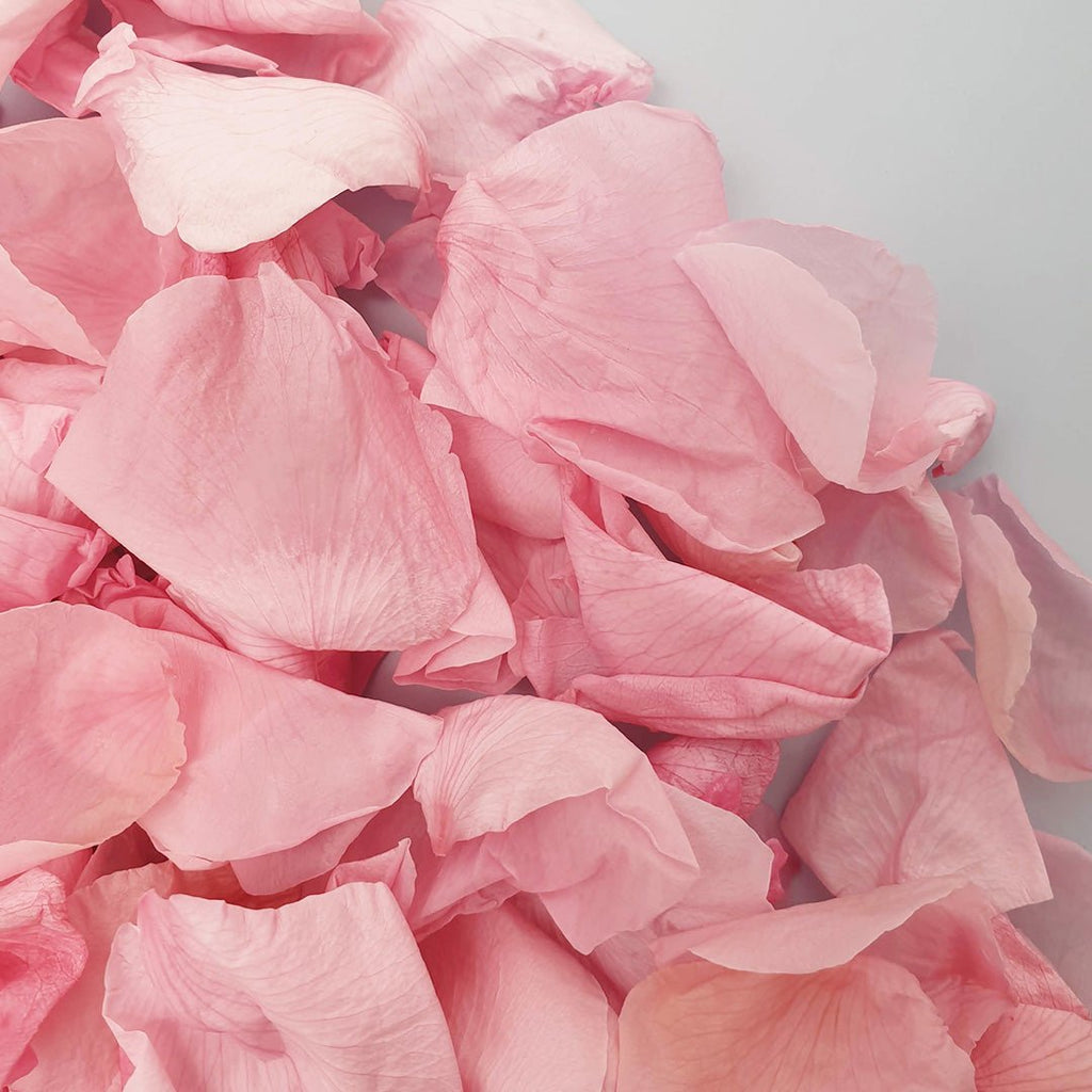 Pink Rose Petals - Confetti Bee