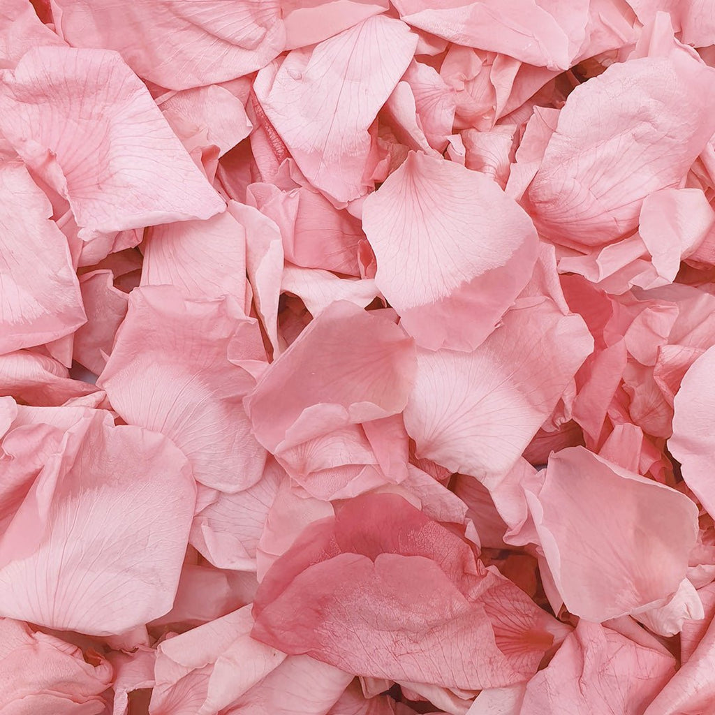 Pink Rose Petals - Confetti Bee