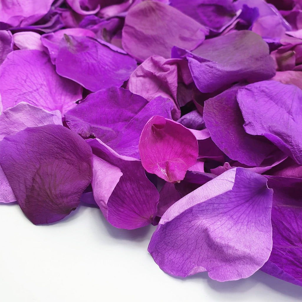 Purple Rose Petals - Confetti Bee