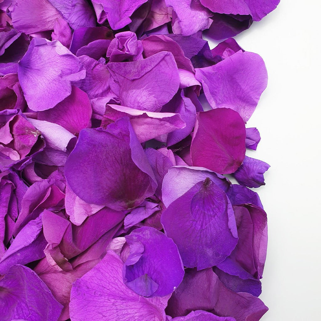 Purple Rose Petals - Confetti Bee