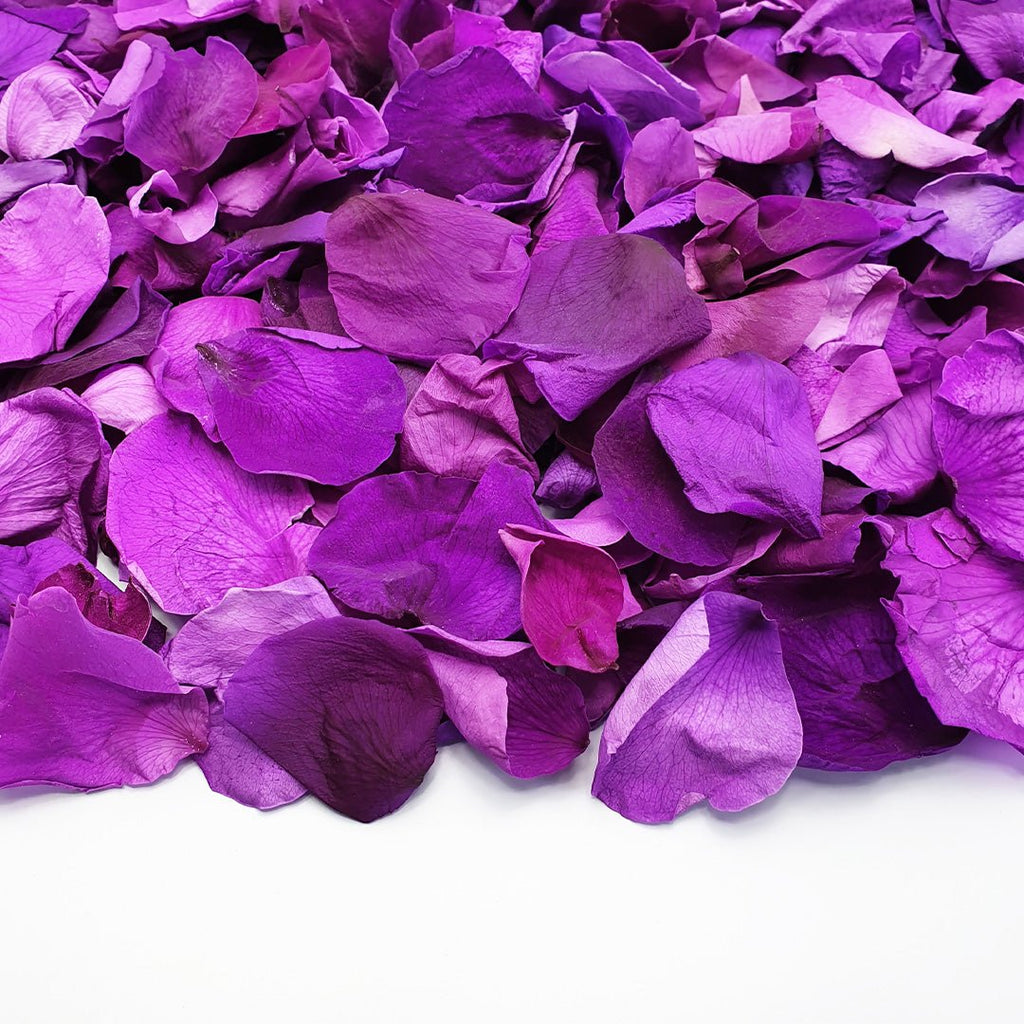 Purple Rose Petals - Confetti Bee