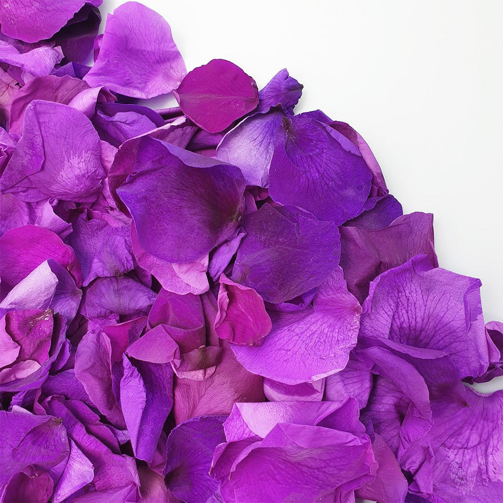 Purple Rose Petals - Confetti Bee