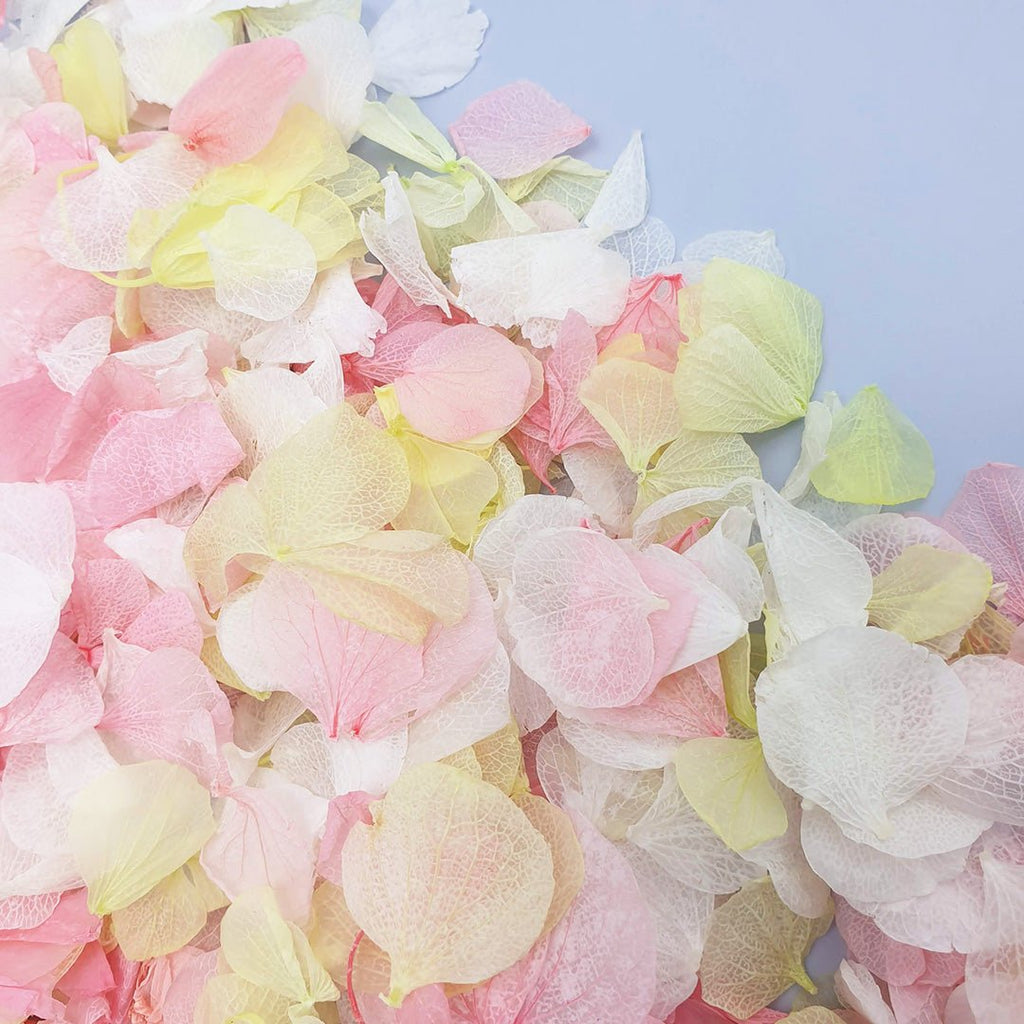 Rhubarb & Custard Confetti - Confetti Bee