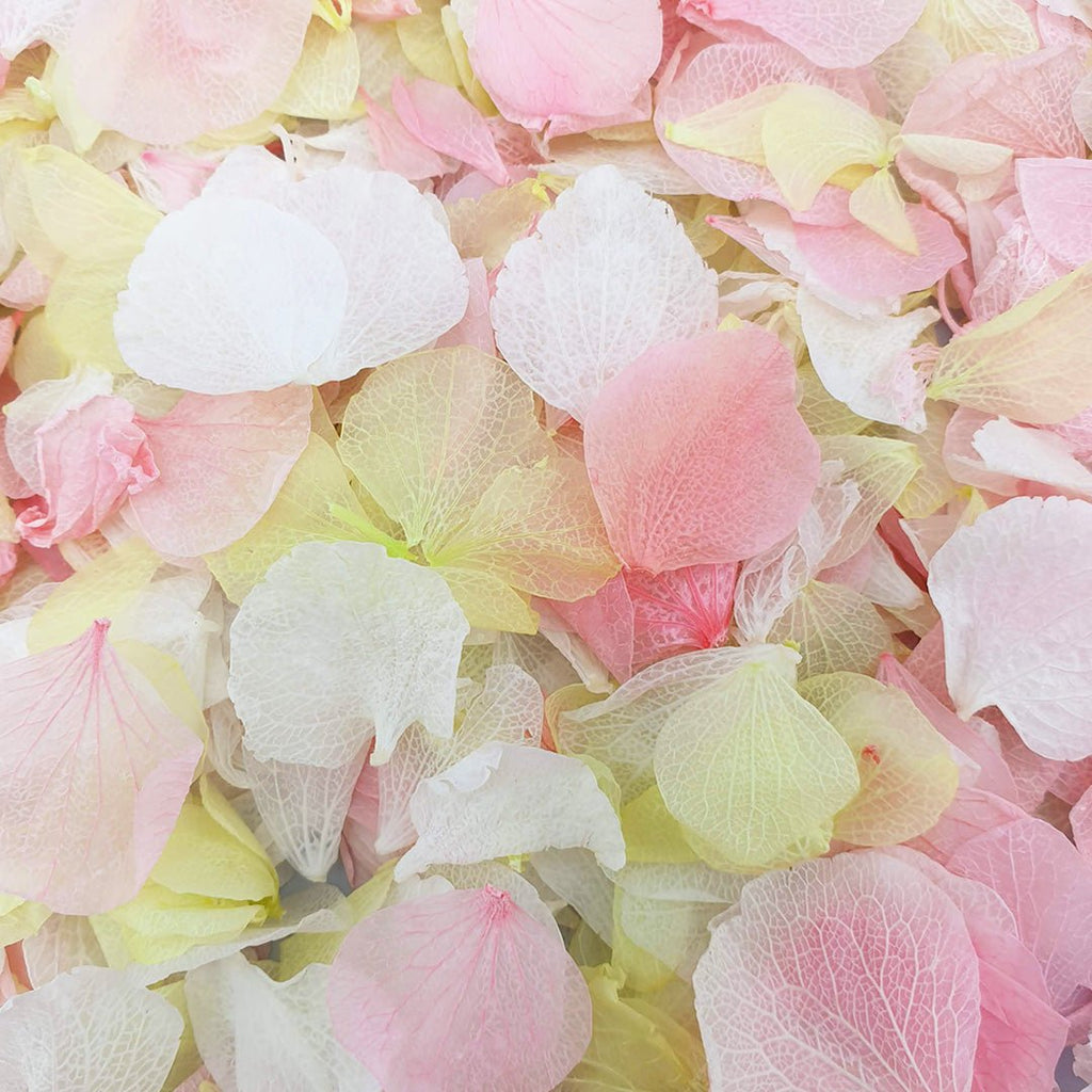 Rhubarb & Custard Confetti - Confetti Bee