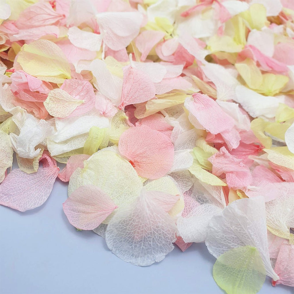 Rhubarb & Custard Confetti - Confetti Bee