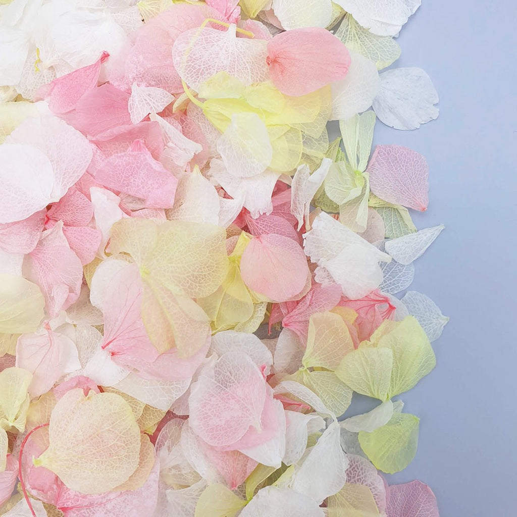 Rhubarb & Custard Confetti - Confetti Bee