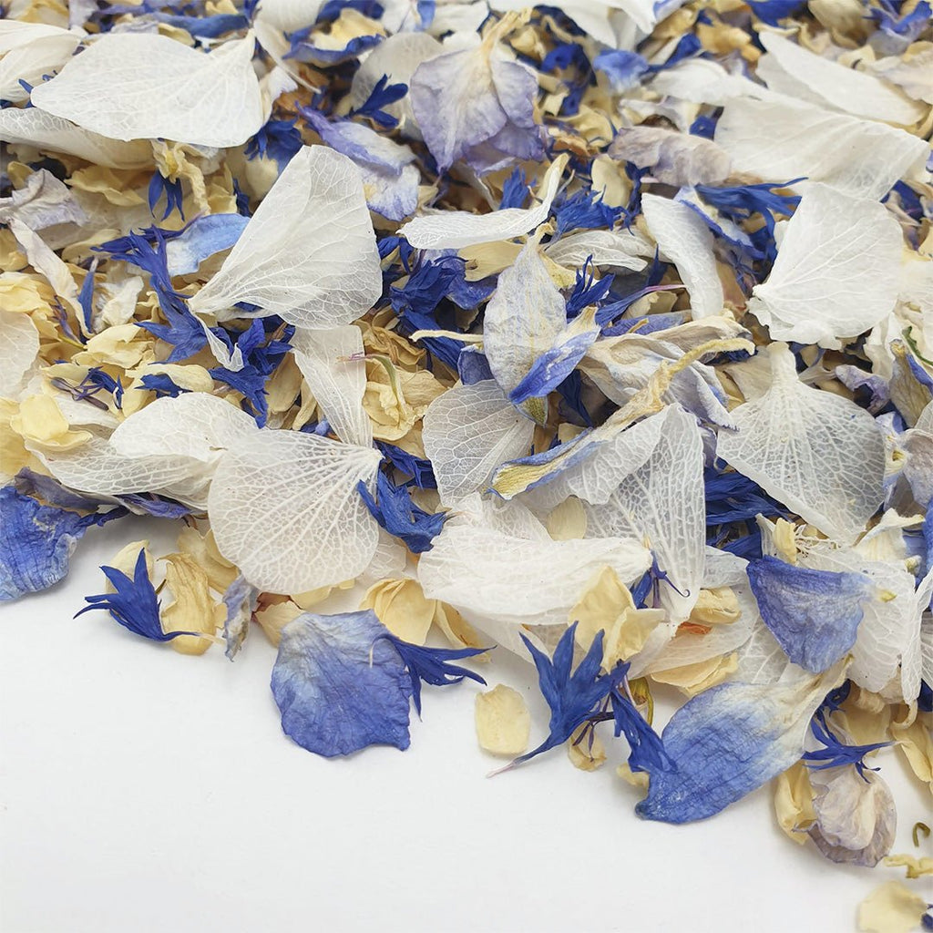 Sapphire Delight Confetti - Confetti Bee