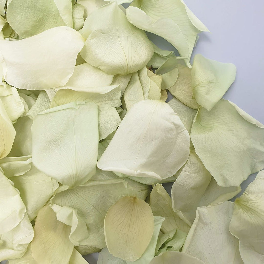 Soft Green Rose Petals - Confetti Bee