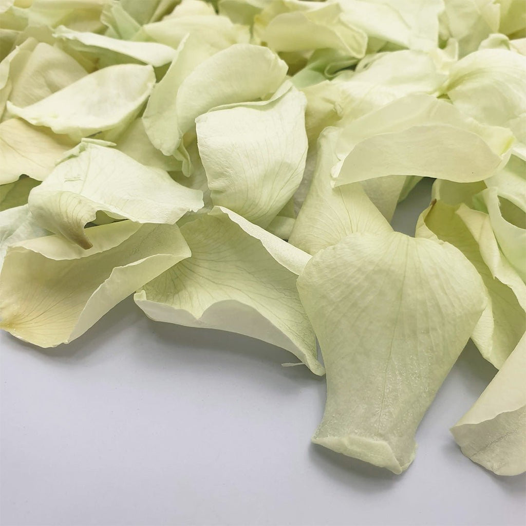 Soft Green Rose Petals - Confetti Bee