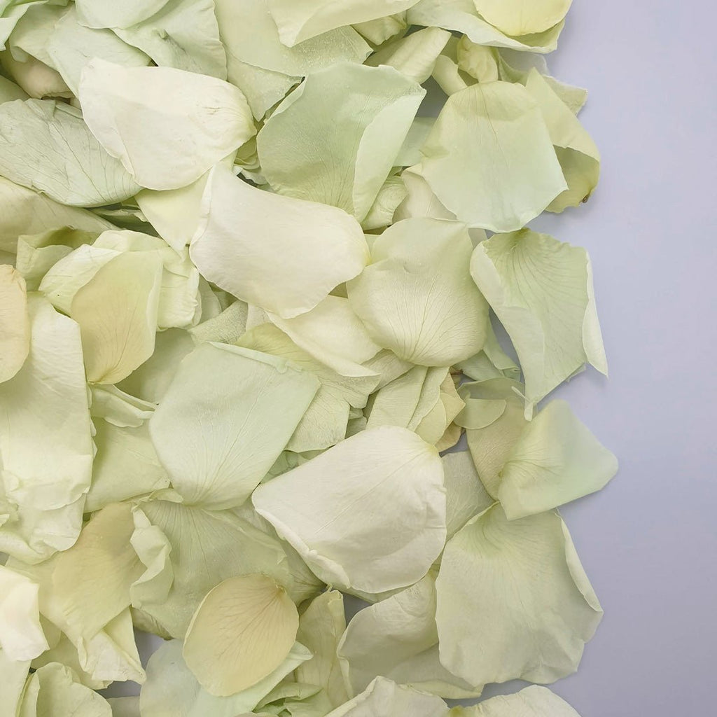 Soft Green Rose Petals - Confetti Bee