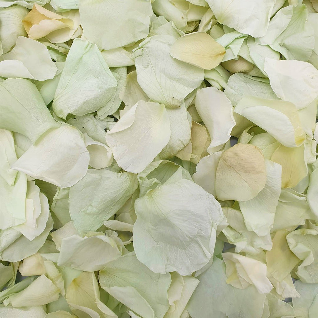 Soft Green Rose Petals - Confetti Bee