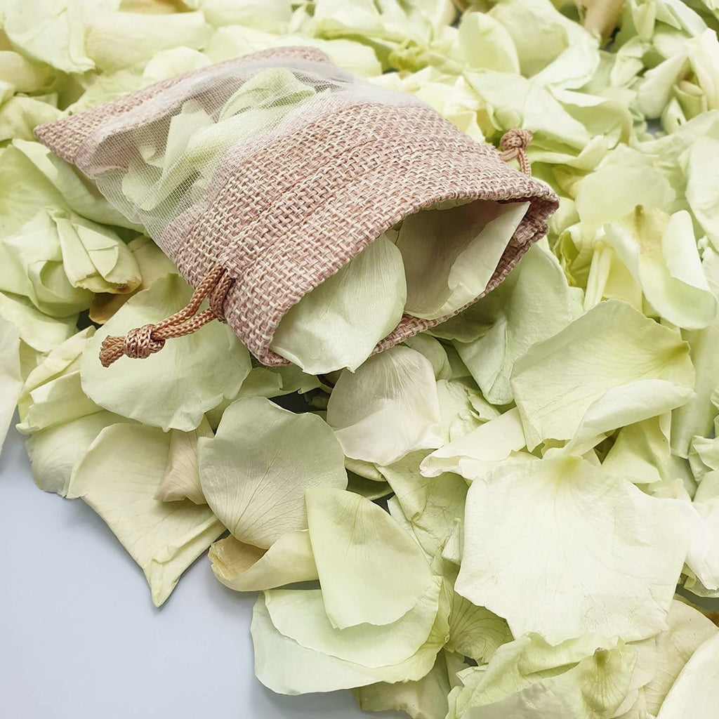 Soft Green Rose Petals - Confetti Bee