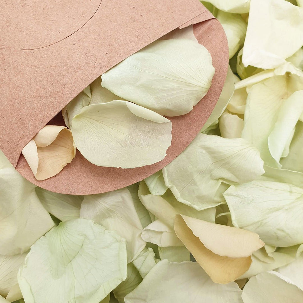 Soft Green Rose Petals - Confetti Bee