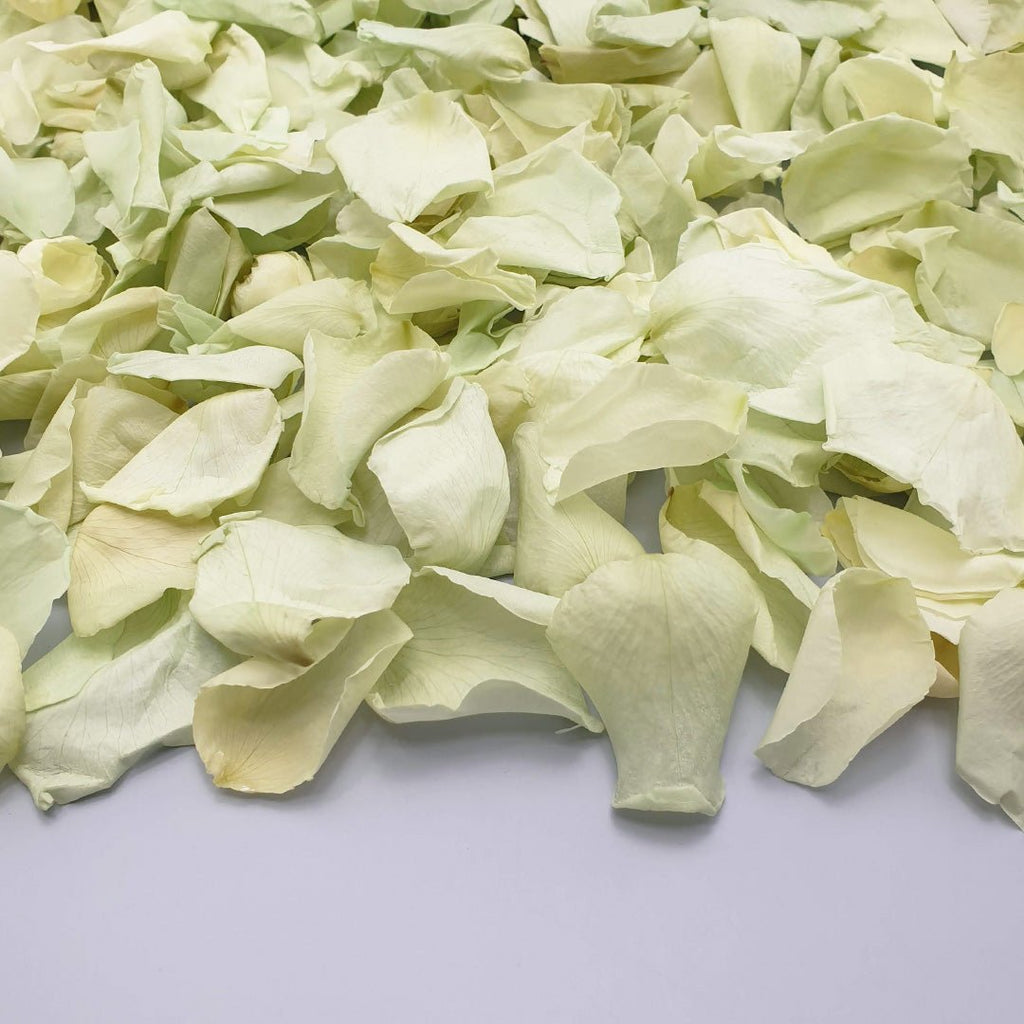 Soft Green Rose Petals - Confetti Bee