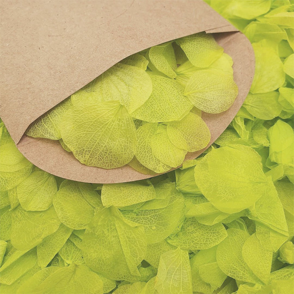 Vibrant Green Hydrangea Petals - Confetti Bee